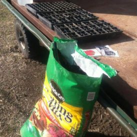 Early Signs of Spring 2014 Image